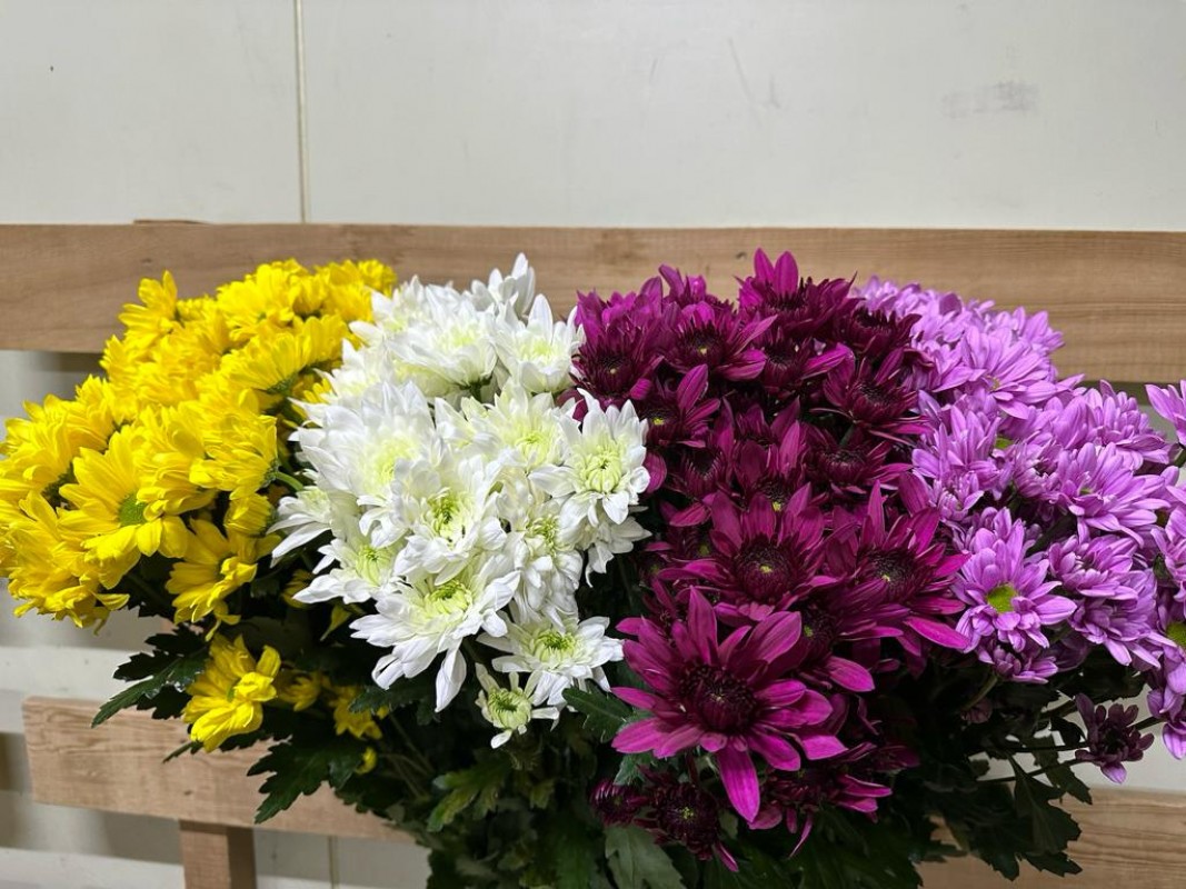 Kenyan flowers from Kenya